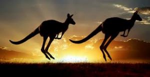 3 destinations phares pour un voyage au pays des kangourous