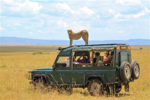 Le Kenya, la meilleure destination pour une partie de safari