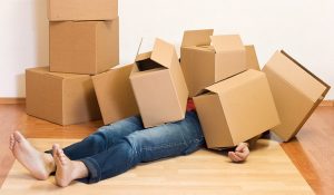 Comment faire pour trouver des informations relatives à l’établissement d’un devis de déménagement ?